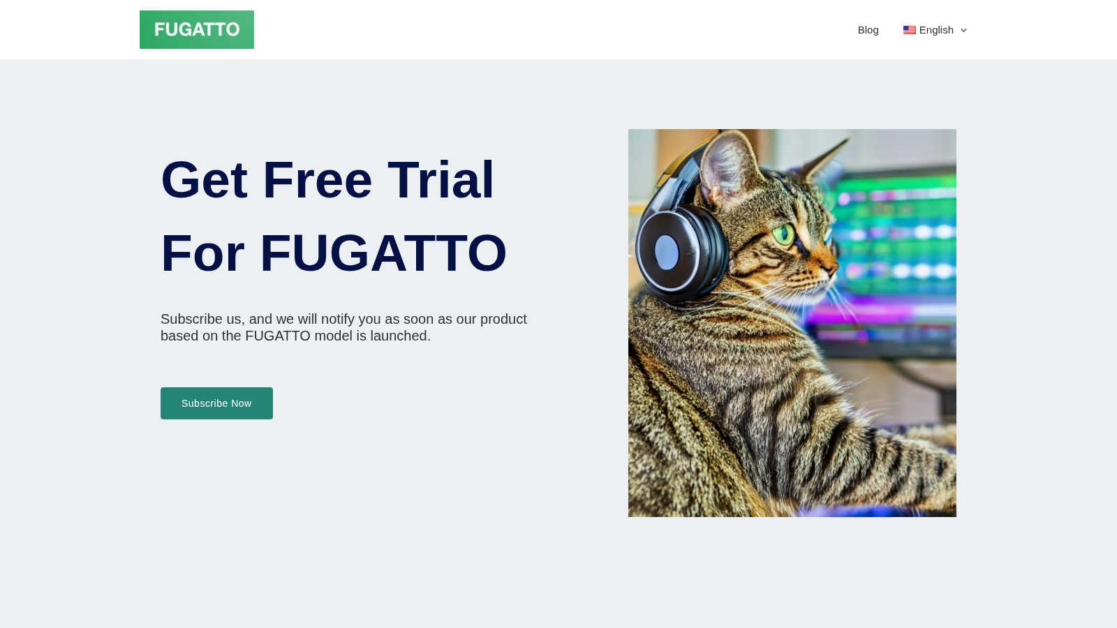 Fugatto application interface and features