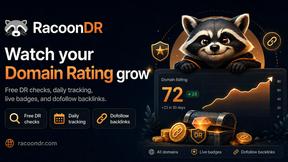 RacoonDR - product for SEO