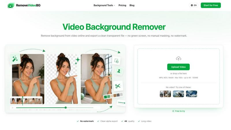 RemoveVideoBG application interface and features