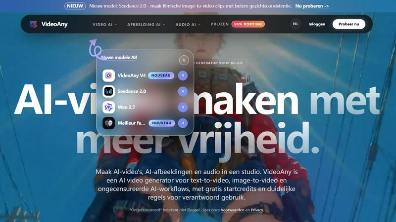 VideoAny application interface and features